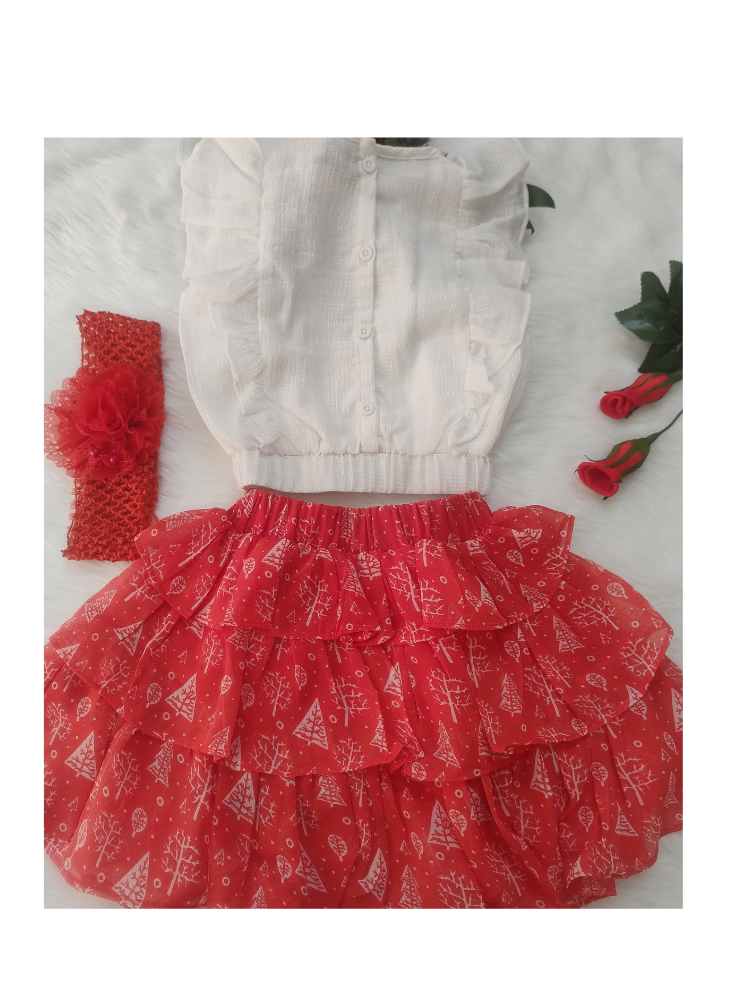 Printed Skirt and Top