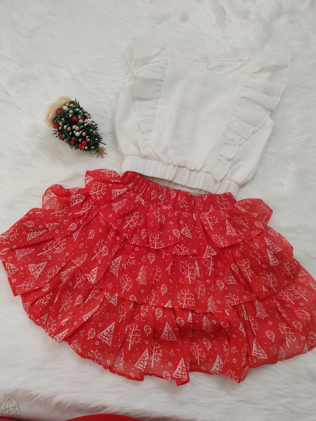 Printed Skirt and Top